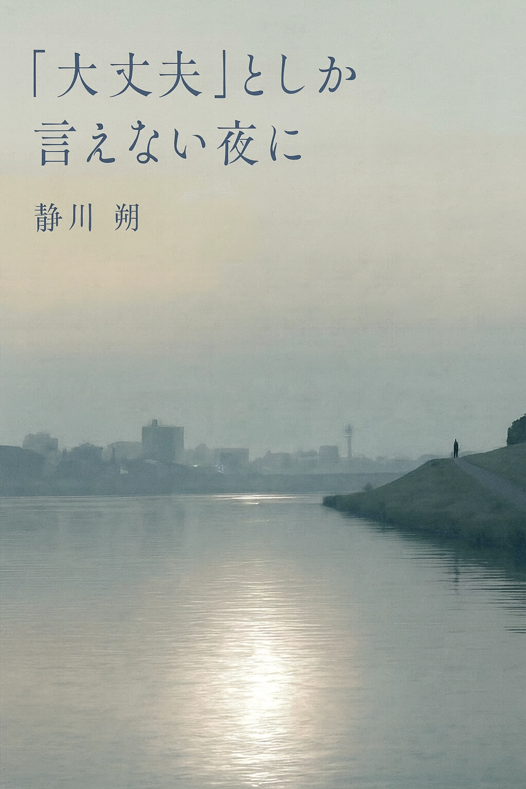 『大丈夫』としか言えない夜に 表紙